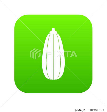 Zucchini vegetable icon digital green Zucchini vegetable icon digital green 40981894