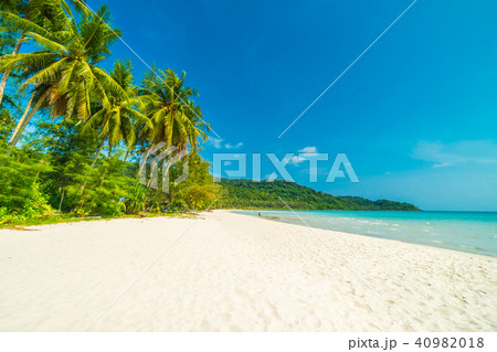 Beautiful nature tropical beach and sea with chair and coconut palm tree on paradise island Beautiful nature tropical beach and sea with chair and coconut palm tree on paradise island 40982018