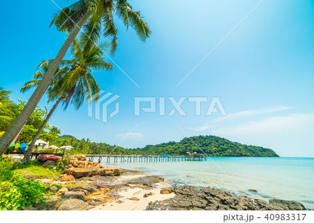Beautiful tropical beach and sea with coconut palm tree in paradise island Beautiful tropical beach and sea with coconut palm tree in paradise island 40983317