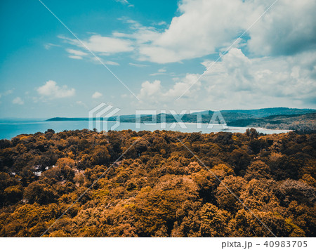 Beautiful Aerial view of beach and sea with coconut palm tree 40983705