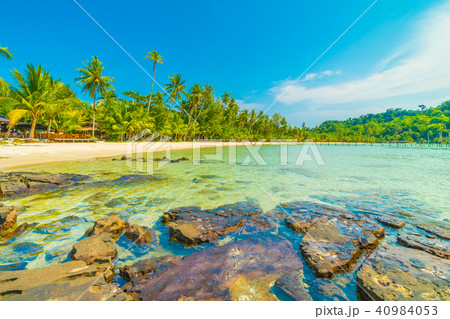 Beautiful tropical beach and sea with coconut palm tree in paradise island 40984053