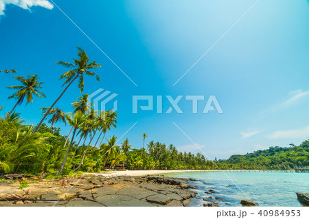 Beautiful tropical beach and sea with coconut palm tree in paradise island Beautiful tropical beach and sea with coconut palm tree in paradise island 40984953