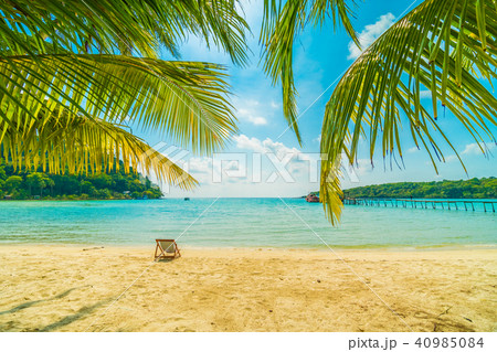 Beautiful tropical beach and sea with coconut palm tree in paradise island 40985084