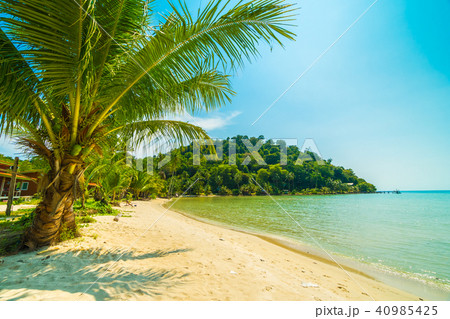 Beautiful tropical beach and sea with coconut palm tree in paradise island 40985425
