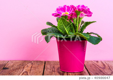 Rustic wooden table with bouquet of flowers as a mock-up or postcard 40986647