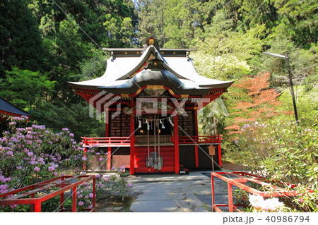 花園神社 花園渓谷 北茨城の写真素材