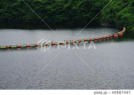 片倉ダム　笹川湖　千葉県君津市　防塵網場 40987497