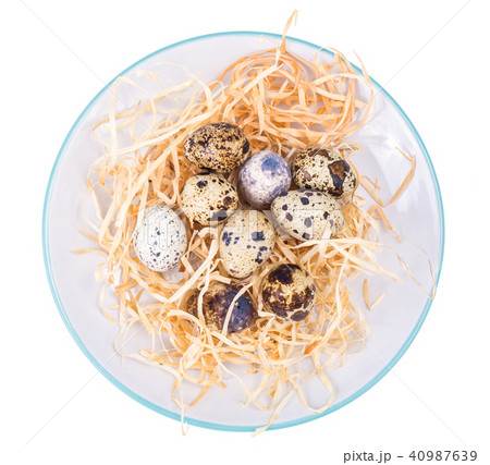 Fresh, motley quail eggs as symbol of the Easter holidays Fresh, motley quail eggs as symbol of the Easter holidays 40987639