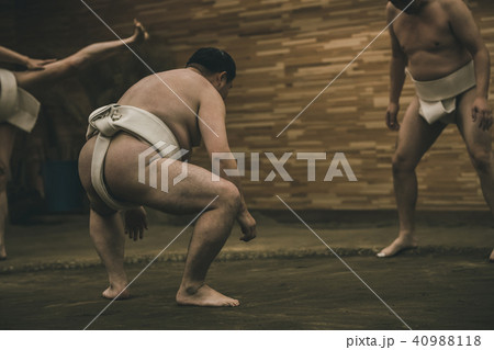 Sumo wrestling 40988118