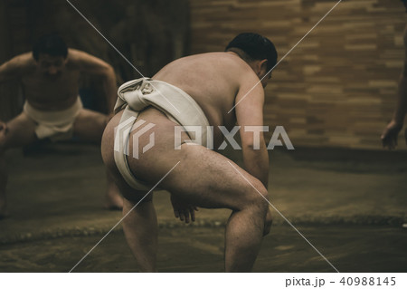 Sumo wrestling 40988145