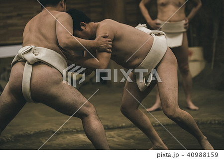 Sumo wrestling Sumo wrestling 40988159