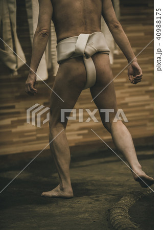 Sumo wrestling Sumo wrestling 40988175