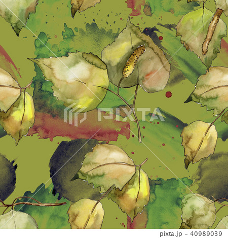 Leaves Birch. Leaf plant botanical garden floral foliage. Seamless background pattern. Leaves Birch. Leaf plant botanical garden floral foliage. Seamless background pattern. 40989039