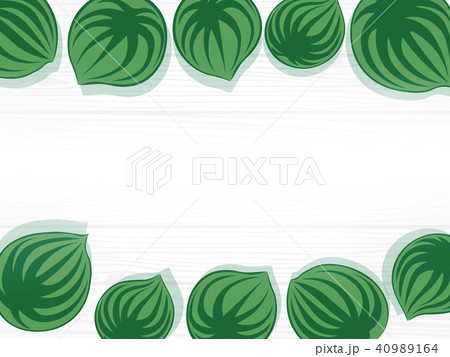 背景 園芸 イラスト 植物 ボード 案内 お知らせ メニュー 背景 園芸 イラスト 植物 ボード 案内 お知らせ メニュー 40989164