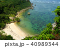 沖縄県　宮城島　果報バンダ 40989344
