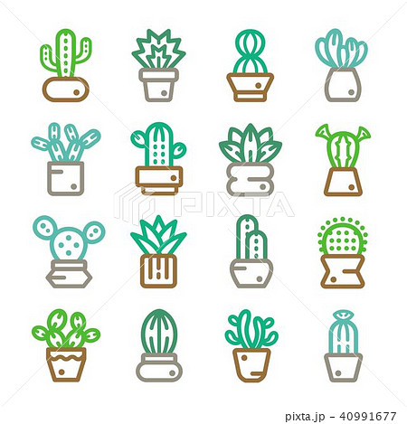 cactuses plant line icon cactuses plant line icon 40991677