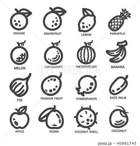 Fruit Thin Line Iconのイラスト素材