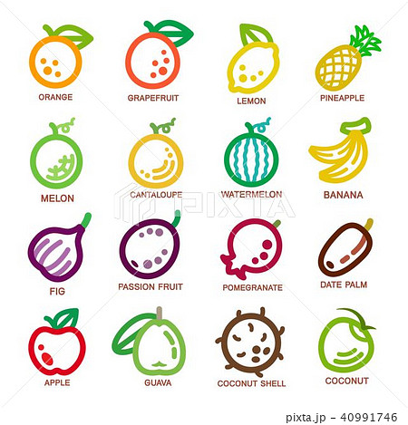 fruit thin line icon 40991746