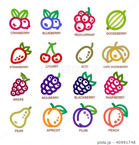 fruit thin line icon 40991748