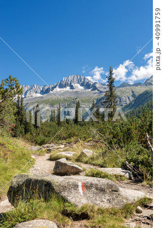 Peak of Care Alto - Adamello Trento Italy Peak of Care Alto - Adamello Trento Italy 40991759