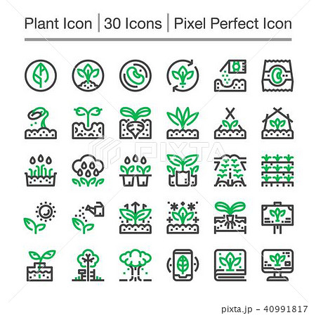 plant icon 40991817