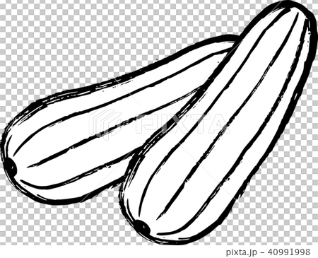 沖縄野菜のヘチマ2つ(ナーベーラー)筆書きモノクロ 沖縄野菜のヘチマ2つ(ナーベーラー)筆書きモノクロ 40991998