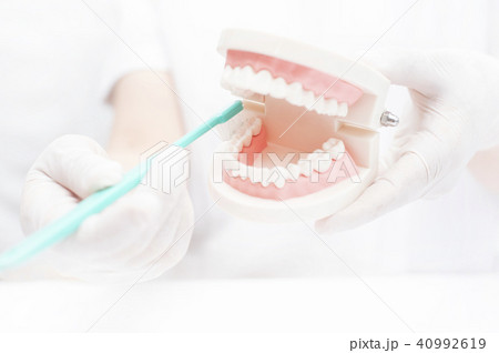 歯みがき　虫歯予防 40992619
