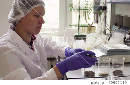 The scientist in laboratory weighing soil sample The scientist in laboratory weighing soil sample 40995119