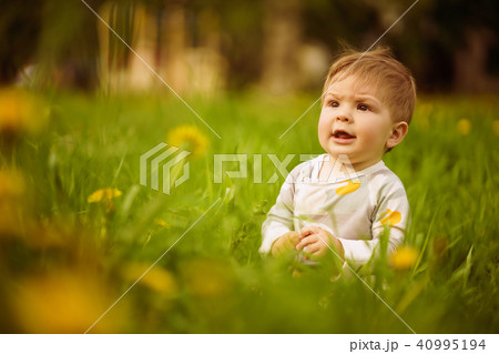 baby playing outdoor in the sunny dandelions field baby playing outdoor in the sunny dandelions field 40995194