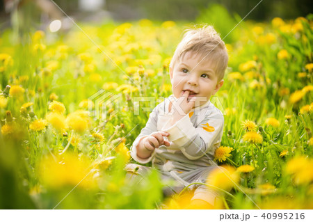 baby playing outdoor in the sunny dandelions field baby playing outdoor in the sunny dandelions field 40995216