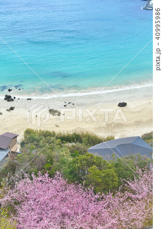 伊豆下田の白浜海岸 伊豆下田の白浜海岸 40995986