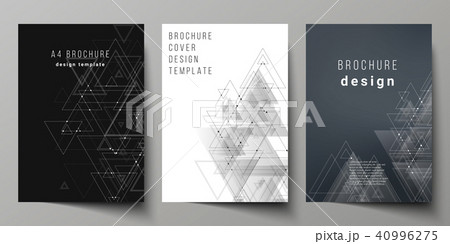 The vector editable layout of A4 format cover mockups design templates for brochure, magazine, flyer 40996275