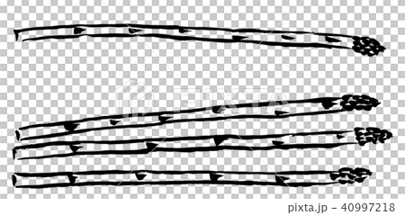 アスパラガス 筆で描くやさい 和のイラストのイラスト素材 40997218 Pixta