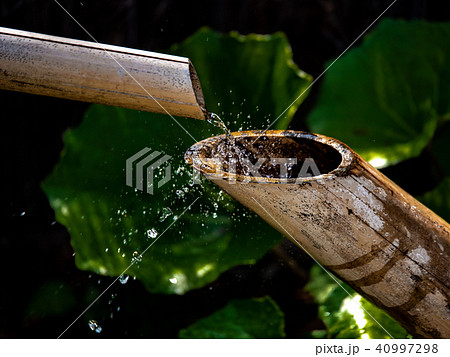 ししおどし 40997298