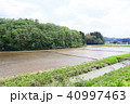 田舎　田園風景　緑　農道　春 40997463