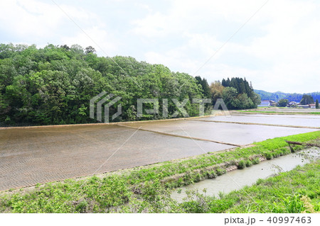 田舎 田園風景 緑 農道 春 田舎 田園風景 緑 農道 春 40997463