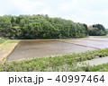 田舎　田園風景　緑　農道　春 40997464