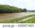 田舎　田園風景　緑　農道　春 40997465