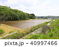 田舎　田園風景　緑　農道　春 40997466