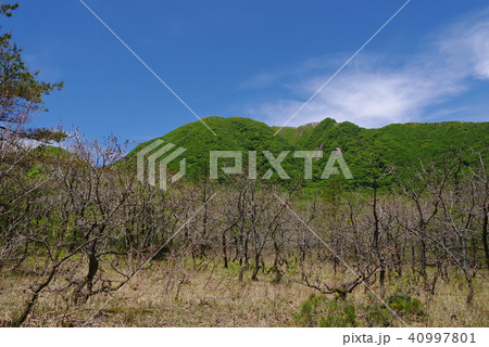 鳥地獄からみた男三瓶（2018年5月） 40997801