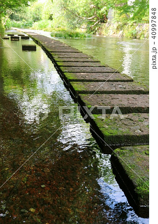 世界水遺産 富士山伏流水 源兵衛川 水の路 名水百選 世界水遺産 富士山伏流水 源兵衛川 水の路 名水百選 40997848