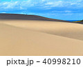 鳥取砂丘（とっとりさきゅう）の風紋（ふうもん）写真 40998210