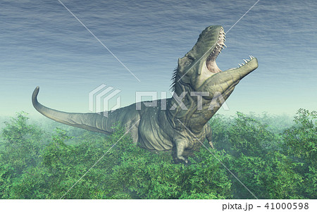 Dinosaur Tyrannosaurus Rex in the rainforest 41000598