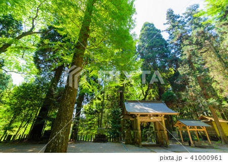 【大分県奥豊後】籾山神社 41000961