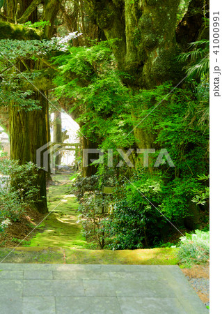 【大分県奥豊後】籾山神社 【大分県奥豊後】籾山神社 41000991