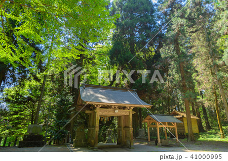 【大分県奥豊後】籾山神社 【大分県奥豊後】籾山神社 41000995