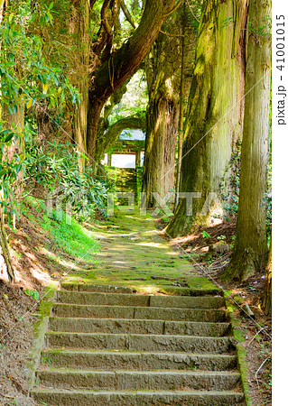 【大分県奥豊後】籾山神社 41001015