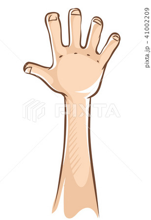 Hand with open palm and five fingers 41002209