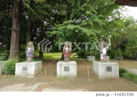 茂林寺　たぬき　館林 41002390