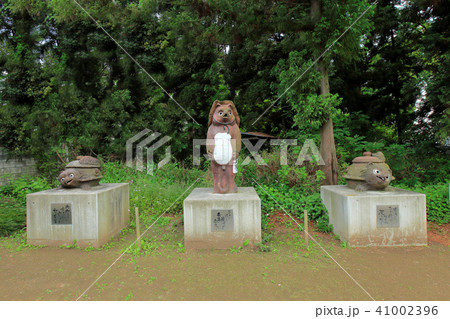 茂林寺 たぬき 館林 茂林寺 たぬき 館林 41002396